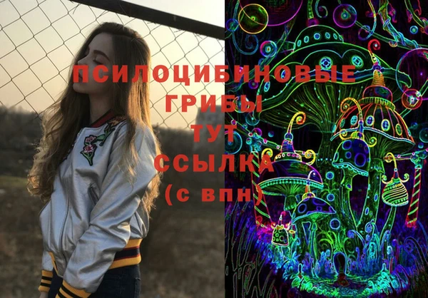 крисы Зерноград