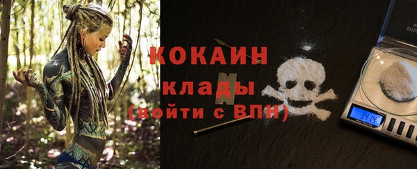 крисы Зерноград